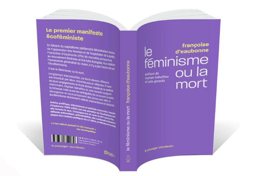 Femminismo o morte in brossura in Francia
